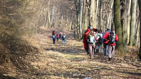 wandelagenda – De Wandelsite